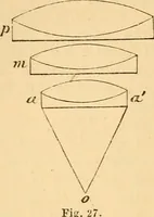 An illustration from The microscope : its history, construction, and application, being a familiar introduction to the use of the instrument, and the study of microscopial science / By Jabez Hogg ... with upwards of five hundred engravings and coloured illustrations by Tuffen West. (1867)