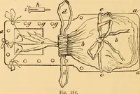 An illustration from The microscope : its history, construction, and application, being a familiar introduction to the use of the instrument, and the study of microscopial science / By Jabez Hogg ... with upwards of five hundred engravings and coloured illustrations by Tuffen West. (1867)