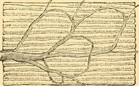 An illustration from The microscope : its history, construction, and application, being a familiar introduction to the use of the instrument, and the study of microscopial science / By Jabez Hogg ... with upwards of five hundred engravings and coloured illustrations by Tuffen West. (1867)