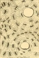 An illustration from The microscope : its history, construction, and application, being a familiar introduction to the use of the instrument, and the study of microscopial science / By Jabez Hogg ... with upwards of five hundred engravings and coloured illustrations by Tuffen West. (1867)
