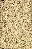 An illustration from The microscope : its history, construction, and application, being a familiar introduction to the use of the instrument, and the study of microscopial science / By Jabez Hogg ... with upwards of five hundred engravings and coloured illustrations by Tuffen West. (1867)