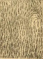 An illustration from The microscope : its history, construction, and application, being a familiar introduction to the use of the instrument, and the study of microscopial science / By Jabez Hogg ... with upwards of five hundred engravings and coloured illustrations by Tuffen West. (1867)