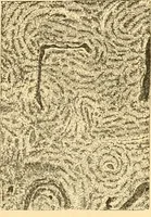 An illustration from The microscope : its history, construction, and application, being a familiar introduction to the use of the instrument, and the study of microscopial science / By Jabez Hogg ... with upwards of five hundred engravings and coloured illustrations by Tuffen West. (1867)