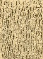 An illustration from The microscope : its history, construction, and application, being a familiar introduction to the use of the instrument, and the study of microscopial science / By Jabez Hogg ... with upwards of five hundred engravings and coloured illustrations by Tuffen West. (1867)