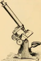 An illustration from The microscope : its history, construction, and application, being a familiar introduction to the use of the instrument, and the study of microscopial science / By Jabez Hogg ... with upwards of five hundred engravings and coloured illustrations by Tuffen West. (1867)