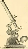 An illustration from The microscope : its history, construction, and application, being a familiar introduction to the use of the instrument, and the study of microscopial science / By Jabez Hogg ... with upwards of five hundred engravings and coloured illustrations by Tuffen West. (1867)