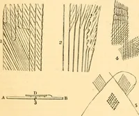 An illustration from The microscope : its history, construction, and application, being a familiar introduction to the use of the instrument, and the study of microscopial science / By Jabez Hogg ... with upwards of five hundred engravings and coloured illustrations by Tuffen West. (1867)
