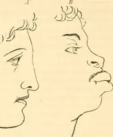 An illustration from The mysteries of human nature explained by a new system of nervous physiology : to which is added, a review of the errors of spiritualism, and instructions for developing or resisting the influence by which subjects and mediums are made / by J. Stanley Grimes. (1860)