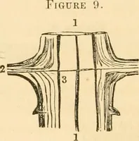 Picture 9 of 40 from The mysteries of human nature explained by a new system of nervous physiology : to which is added, a review of the errors of spiritualism, and instructions for developing or resisting the influence by which subjects and mediums are made / by J. Stanley Grimes. (1860), leaf 60