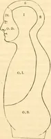 Picture 10 of 40 from The mysteries of human nature explained by a new system of nervous physiology : to which is added, a review of the errors of spiritualism, and instructions for developing or resisting the influence by which subjects and mediums are made / by J. Stanley Grimes. (1860), leaf 71