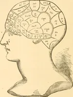 An illustration from The mysteries of human nature explained by a new system of nervous physiology : to which is added, a review of the errors of spiritualism, and instructions for developing or resisting the influence by which subjects and mediums are made / by J. Stanley Grimes. (1860)