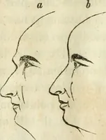 An illustration from A new system of phrenology / by J. Stanley Grimes. (1839)
