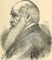 An illustration from Phrenology proved, illustrated, and applied : embracing an analysis of the primary mental powers in their various degrees of developments, the phenomena produced by their combined activity, and the location of the phrenological organs in the head : together with a view of the moral and anatomical objections to the science / by O. S. and L. N. Fowler. (1892)