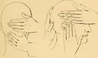 Picture 5 of 7 from A handbook of phrenology / by C. Donovan. (1870), leaf 147