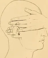 An illustration from A handbook of phrenology / by C. Donovan. (1870)
