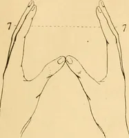 An illustration from A handbook of phrenology / by C. Donovan. (1870)