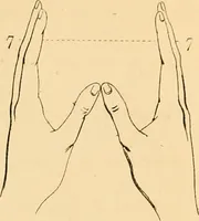 An illustration from A handbook of phrenology / by C. Donovan. (1870)