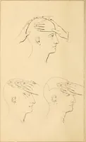 An illustration from A handbook of phrenology / by C. Donovan. (1870)