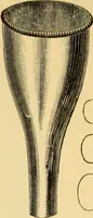 An illustration from Diseases of the ear : a text-book for practitioners and students of medicine / by Edward Bradford Dench. (1900)