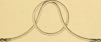 An illustration from Diseases of the ear : a text-book for practitioners and students of medicine / by Edward Bradford Dench. (1900)