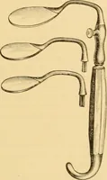 An illustration from Diseases of the ear : a text-book for practitioners and students of medicine / by Edward Bradford Dench. (1900)