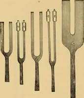An illustration from Diseases of the ear : a text-book for practitioners and students of medicine / by Edward Bradford Dench. (1900)