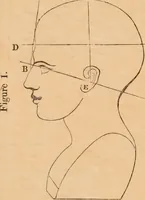 An illustration from Lectures on phrenology : delivered before the Young Men's Association for Mutual Improvement of the City of Albany / by Amos Dean. (1834)