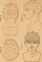 An illustration from Lectures on phrenology : delivered before the Young Men's Association for Mutual Improvement of the City of Albany / by Amos Dean. (1834)