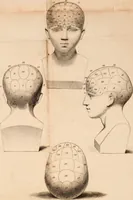 An illustration from Elements of phrenology. (1824)