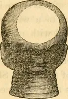 Picture 14 of 33 from A system of phrenology / by George Combe. (1830), leaf 139