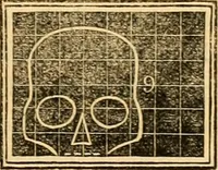 An illustration from A system of phrenology / by George Combe. (1830)