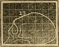 Picture 23 of 33 from A system of phrenology / by George Combe. (1830), leaf 283