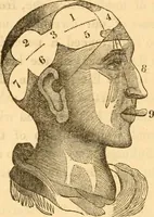 An illustration from A system of phrenology / by George Combe. (1830)