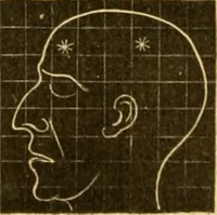 An illustration from A system of phrenology / by George Combe. (1830)
