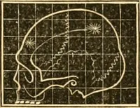 An illustration from A system of phrenology / by George Combe. (1830)