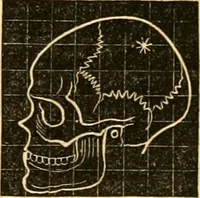 An illustration from A system of phrenology / by George Combe. (1830)