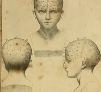 An illustration from A system of phrenology. (1825)