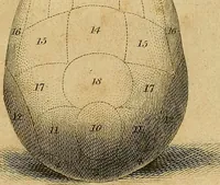 An illustration from A system of phrenology. (1825)