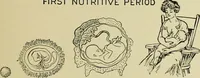 Picture 15 of 64 from Diseases of infants and children / by Henry Dwight Chapin and Godfrey Roger Pisek ; with 181 ill. and eleven colored plates. (1911), leaf 141