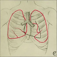 An illustration from Diseases of infants and children / by Henry Dwight Chapin and Godfrey Roger Pisek ; with 181 ill. and eleven colored plates. (1911)