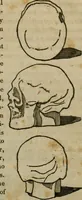 Picture 12 of 12 from Illustrations of phrenology : being a selection of articles from the Edinburg phrenological journal, and the transactions of the Edinburg Phrenological Society. With twenty-six wood cuts / Ed. by George H. Calvert. With an introduction by the editor. (1832), leaf 117