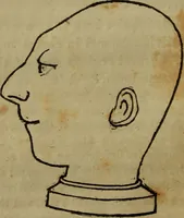 An illustration from Illustrations of phrenology : being a selection of articles from the Edinburg phrenological journal, and the transactions of the Edinburg Phrenological Society. With twenty-six wood cuts / Ed. by George H. Calvert. With an introduction by the editor. (1832)