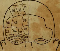 Picture 6 of 12 from Illustrations of phrenology : being a selection of articles from the Edinburg phrenological journal, and the transactions of the Edinburg Phrenological Society. With twenty-six wood cuts / Ed. by George H. Calvert. With an introduction by the editor. (1832), leaf 42