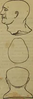 Picture 7 of 12 from Illustrations of phrenology : being a selection of articles from the Edinburg phrenological journal, and the transactions of the Edinburg Phrenological Society. With twenty-six wood cuts / Ed. by George H. Calvert. With an introduction by the editor. (1832), leaf 74