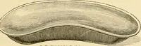 An illustration from A manual of otology / By Gorham Bacon ... With an introductory chapter by Clarence John Blake ... With 110 illustrations and a colored plate. (1898)