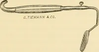 An illustration from A manual of otology / By Gorham Bacon ... With an introductory chapter by Clarence John Blake ... With 110 illustrations and a colored plate. (1898)