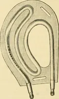 An illustration from A manual of otology / By Gorham Bacon ... With an introductory chapter by Clarence John Blake ... With 110 illustrations and a colored plate. (1898)