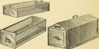 An illustration from A manual of otology / By Gorham Bacon ... With an introductory chapter by Clarence John Blake ... With 110 illustrations and a colored plate. (1898)