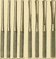 An illustration from A manual of otology / By Gorham Bacon ... With an introductory chapter by Clarence John Blake ... With 110 illustrations and a colored plate. (1898)