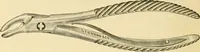 An illustration from A manual of otology / By Gorham Bacon ... With an introductory chapter by Clarence John Blake ... With 110 illustrations and a colored plate. (1898)